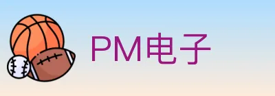 PM电子 logo